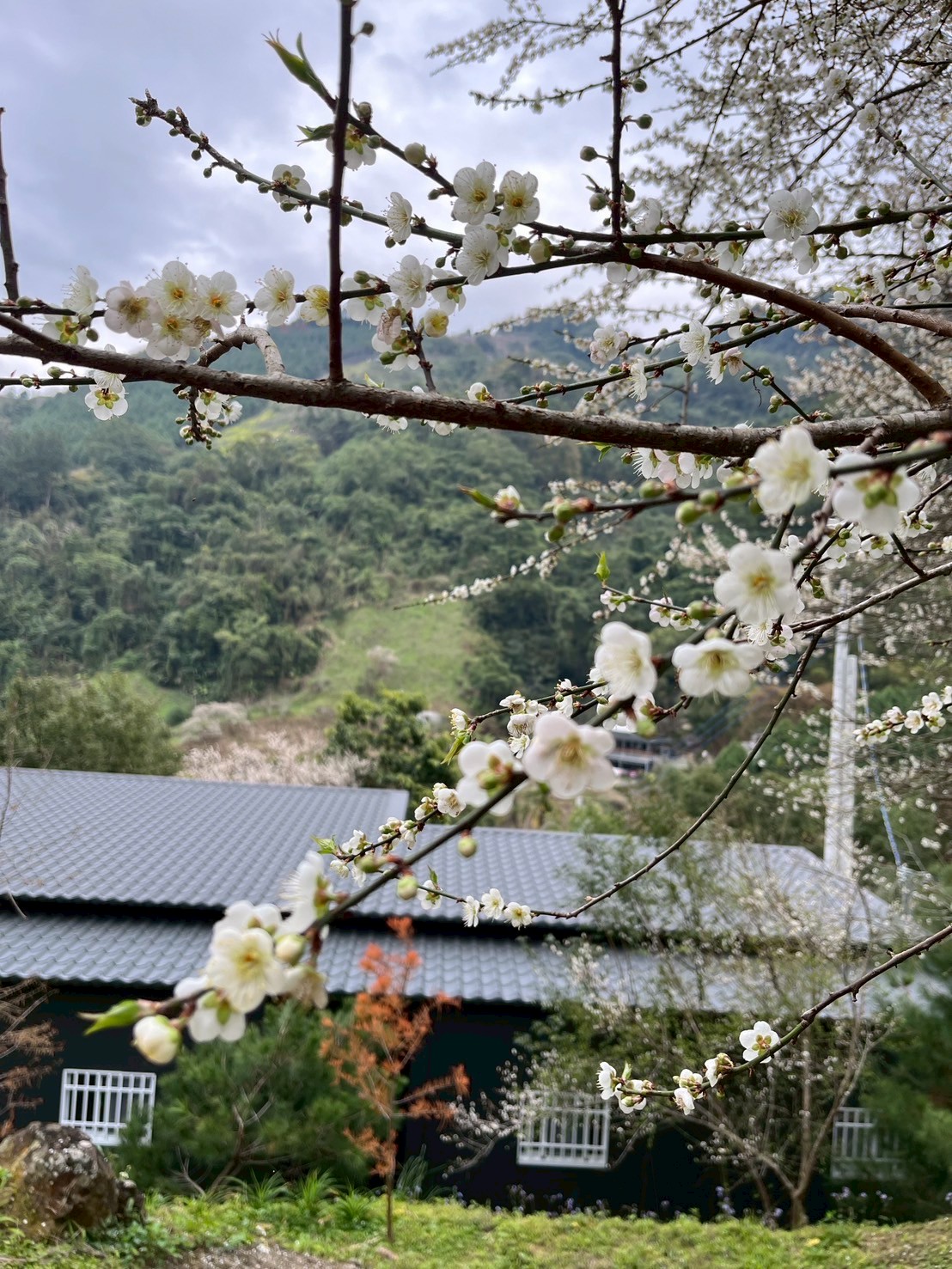 民宿周邊-1 民宿周邊-1