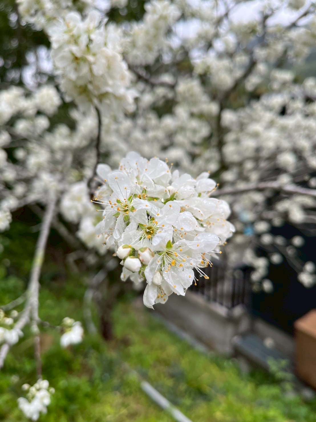 民宿周邊-3 民宿周邊-3
